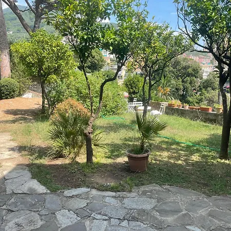 The Terrace On Portofino Terrazzo Portofino Zoagli