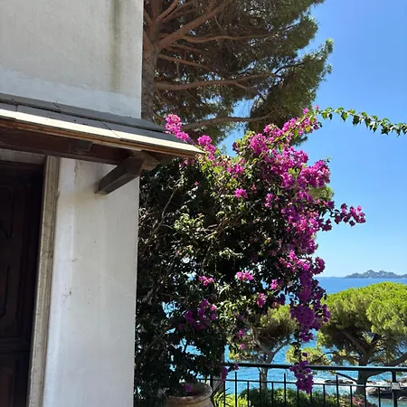 The Terrace On Portofino Terrazzo Portofino Zoagli