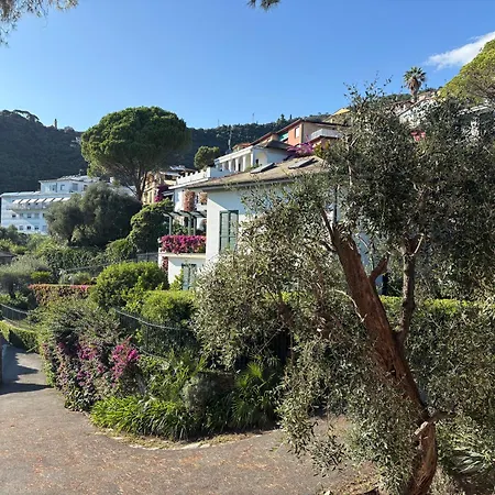 The Terrace On Portofino Terrazzo Portofino * Zoagli