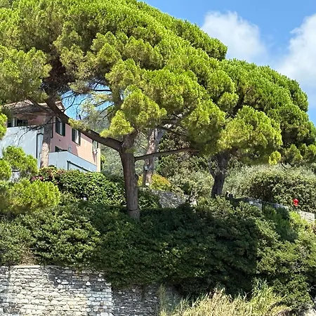 公寓 The Terrace On Portofino Terrazzo Portofino *