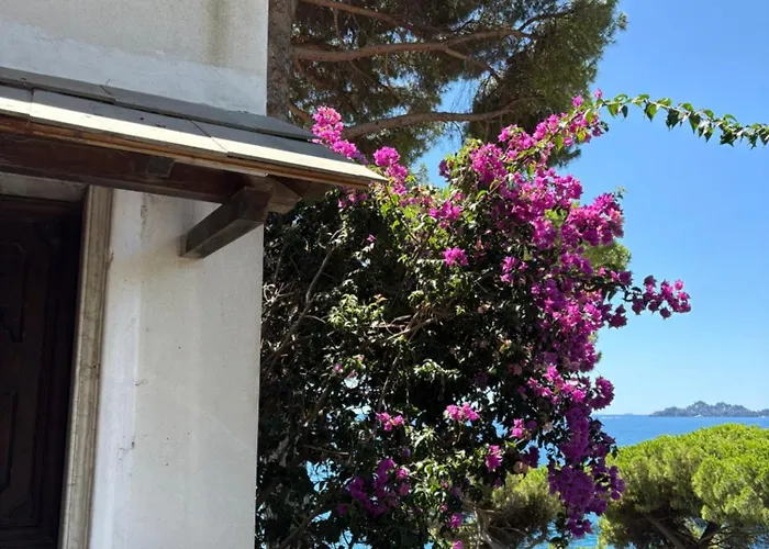 The Terrace On Portofino Terrazzo Portofino Zoagli