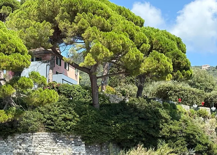 Lejlighed The Terrace On Portofino Terrazzo Portofino *